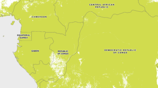 First of 2 maps of the Congo Basin, showing tree cover in green for the year 2000. This map is viewed within a slider to reveal the change in tree cover between 2000 and 2022.
