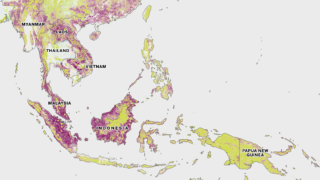 Second of 2 maps of Indonesia, showing tree cover in green, minimal amounts of tree cover gain in blue and substantial tree cover loss in purple. This map is viewed within a slider to reveal the change in tree cover between 2000 and 2022.
